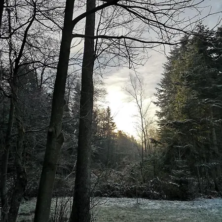 Sondrup B&B * Hundslund